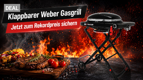 Campinggrill mit echtem Weber-Format: Traveler Compact kostet bei Amazon jetzt über 100 € weniger