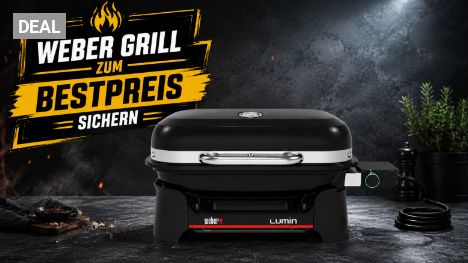 Neuer Weber-Grill deutlich günstiger: Lumin Compact mit Gusseisenrost und Thermometer spart 59 € befristet