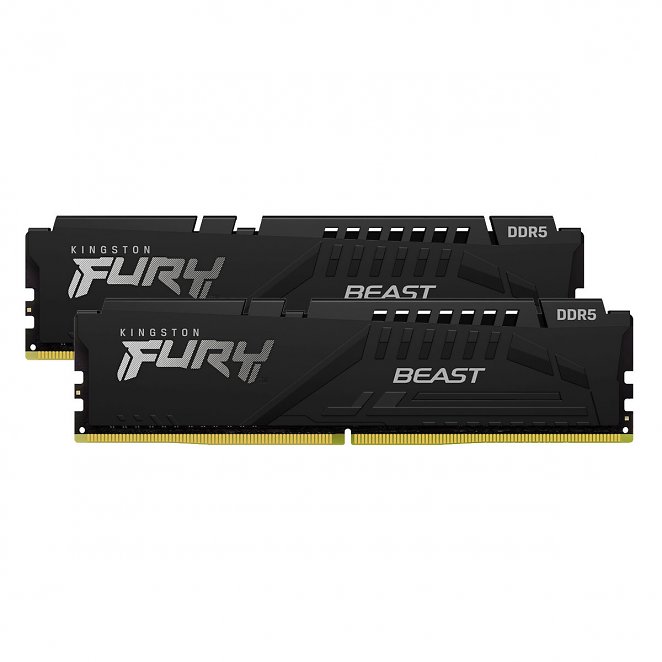 Kingston FURY Beast Schwarz 32GB Kit (2x16GB) DDR5-5600 EXPO CL36