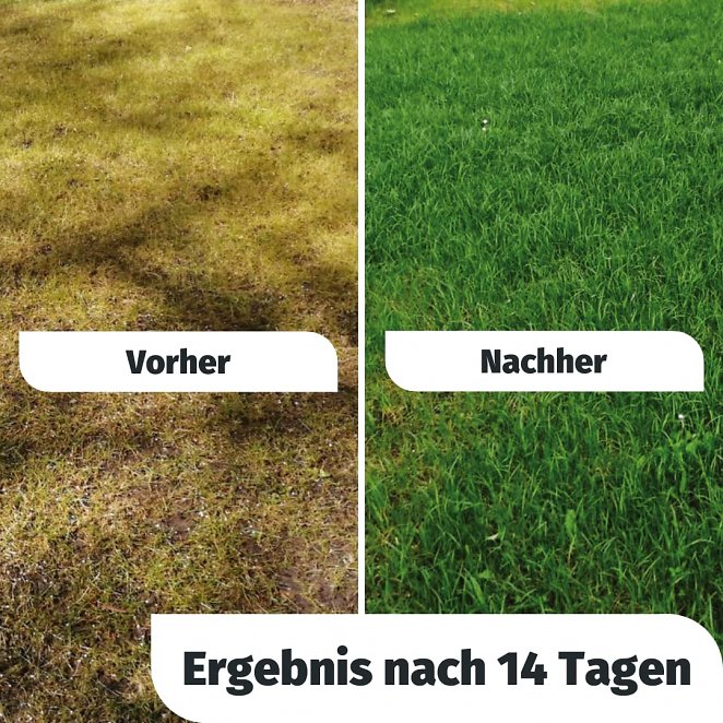 Nur der Beste: Rasendnger mit Langzeitwirkung deshalb Megaseller bei Amazon