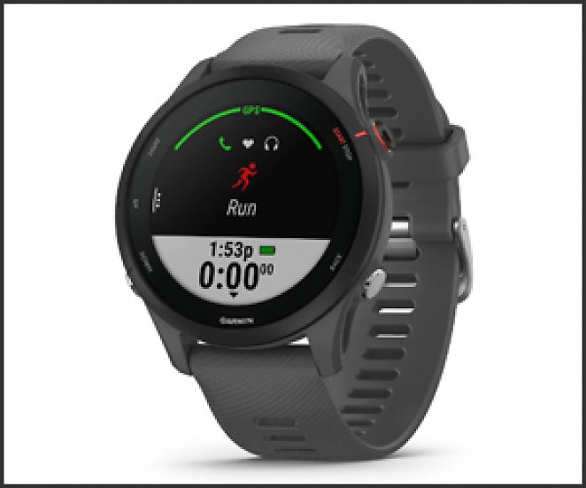 GARMIN FORERUNNER 255, Smartwatch, 22 mm, Slate Grey