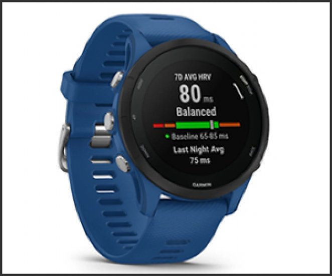 GARMIN FORERUNNER 255, Smartwatch, 22 mm, Tidal Blue