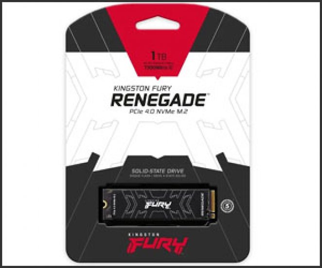 Kingston FURY Renegade 1 TB, SSD (schwarz, PCIe 4.0 x4, NVMe, M.2 2280) - PS5-kompatibel