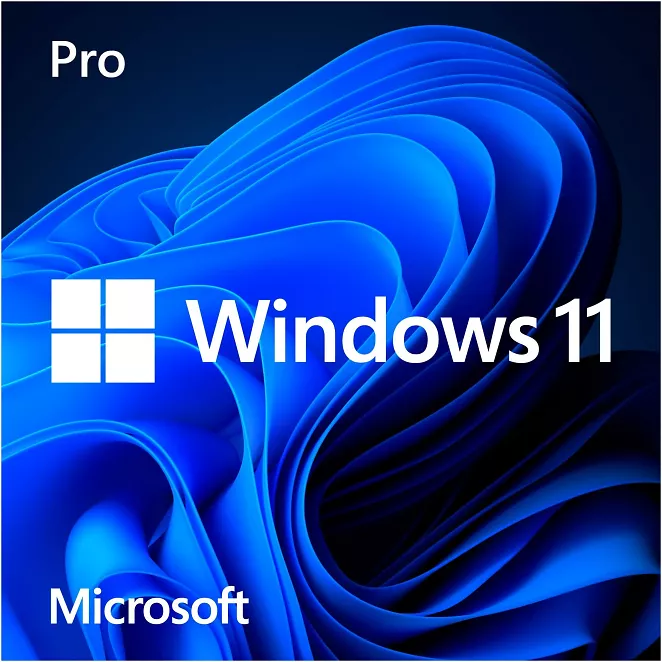 Windows 11 Pro, 64-Bit