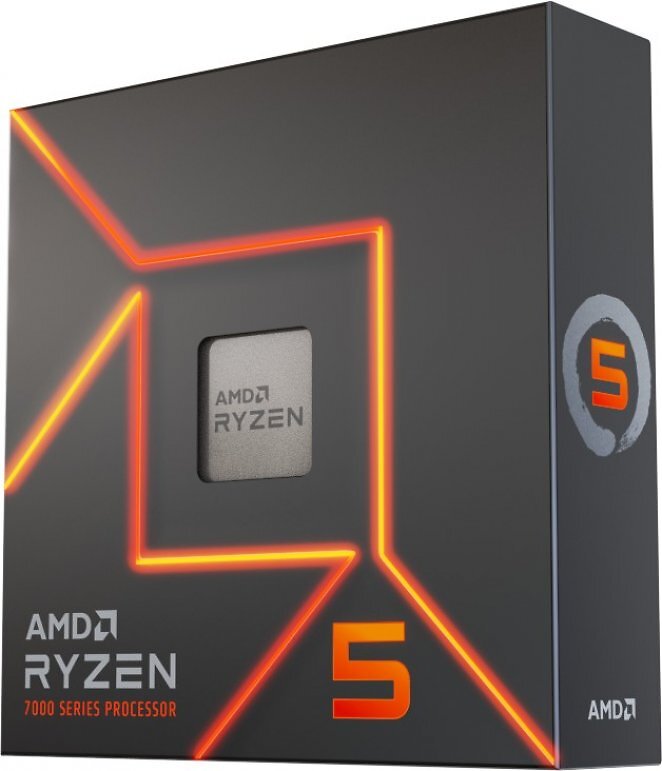 AMD Ryzen 5 7600X (Boxed ohne Lüfter)