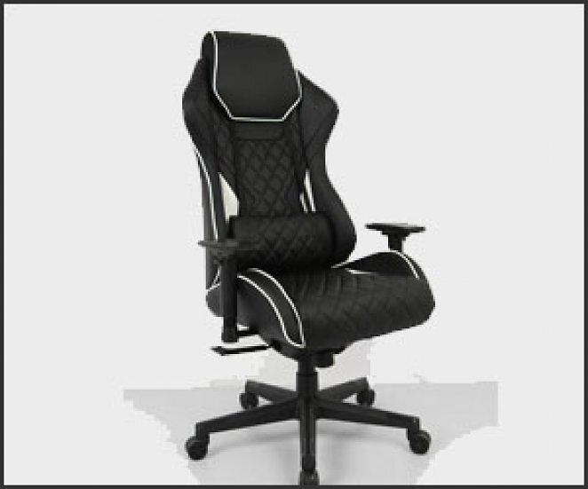WRK21 Highend Gaming Stuhl, mit adaptiver Rückenlehne