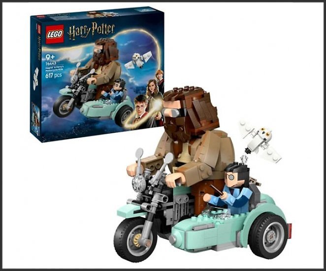 LEGO 76443 Harry Potter Hagrids und Harrys Motorradtour, Konstruktionsspielzeug
