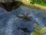 2002: In Comenache 4 gibt es Voxel-Wasser.