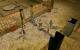 Neverwinter Nights (2002) 
