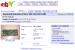 Eine besondere Grafikkarte bei Ebay