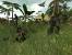Battlefield Vietnam