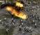 2004: The Lord of the Rings: The Battle for Middle-Earth (Schlacht um Mittelerde)