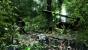 Die ersten Crysis-Screenshots versprachen mehr Grafik als im Spiel nachher möglich war. Erst Mods erlaubten es, die gezeigte Bildqualität live zu erleben - sofern der PC stark genug war.