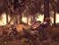 The Witcher 2 - Assassins of Kings (13)