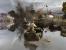 Platz 2: Company of Heroes