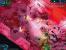 Alien Shooter 2: 67 versus 85 (Presse versus User)