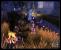 Sacred 2: Fallen Angel (Oktober 2008)