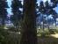 Call of Juarez (Bild: PCGH)