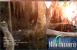 Lost Planet (11)