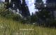 Call of Juarez