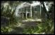 Neuzugang in der Roadmap: Far Cry 2