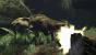 <strong>Turok </strong>(Februar 2008): Wie sich Turok optisch in Szene setzten wird lässt sich schwierig vorhersagen. Sollte an der Konsolenversion nichts geändert werden, dürfte es schwierig werden. Mehr Bilder in der Galerie.