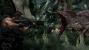 <strong>Turok </strong>