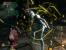 Platz11:Bioshock 29Stimmen;8,15%
