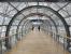 Immer wieder ein Foto wert - die Verbindungstunnel der Messe Leipzig.