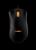Guild Wars Razer DeathAdder-Maus