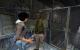 Platz04:Half Life 2 49Stimmen;13,76%
