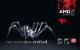AMDs Spider-Artwork