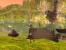 Aion: Tower of Eternity (38)