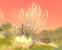 Aion: Tower of Eternity (34)