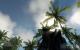 Crysis SP Demo(2.560x1.600, 4x MSAA, 16:1 AF): God-Rays An (Bild: PCGH)