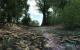 Crysis SP Demo(2.560x1.600, 4x MSAA, 16:1 AF): Parallax Occlussion Mapping Aus (Bild: PCGH)