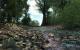 Crysis SP Demo(2.560x1.600, 4x MSAA, 16:1 AF): Parallax Occlussion Mapping An (Bild: PCGH)
