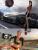 2007: Krystal Forscutt (NFS Pro Street)