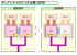 (Bild: pc.watch.co.jp)