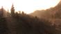 Alan Wake (36)