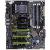 XFX Nforce 780i SLI
(Bild: techpowerup.com)