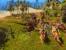 Paraworld