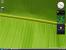 <strong>Windows 7</strong>: Die ersten Bilder sind im Netz (Bild: thinknext)