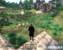 <strong>TES4 Oblivion: Bildqualität im Vergleich</strong>: Die hier gezeigte GF8800GTX produziert ein identisches Bild zur Geforce 8800 GTS 512 (Bild:PCGH)