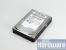 Die Spinpoint T166 HD501LJ ist sehr beliebt. (Bild: PCGH)