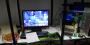 Quad-SLI im Einsatz (Bild: tweaktown.com) 