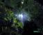 Crysis, 1280x1024 4xAA Tsaa 16xAF (Bild: "Superheld", 3dcenter.de)