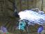 Jedi Academy, max details (ausser vol. schatten) 16x AF 16x AA (Bild: "KinGGolAth", 3dcenter.de)