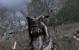 Call of Duty 4, 1680x1050 resized / Max Details / 0xAA 16xAF (Bild: "GanjaBob", 3dcenter.de)