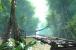 Crysis-Screenshot-Wettbewerb mit Nvidia und MSI
